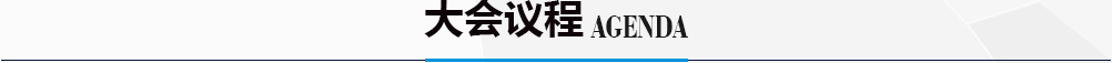 大会议程